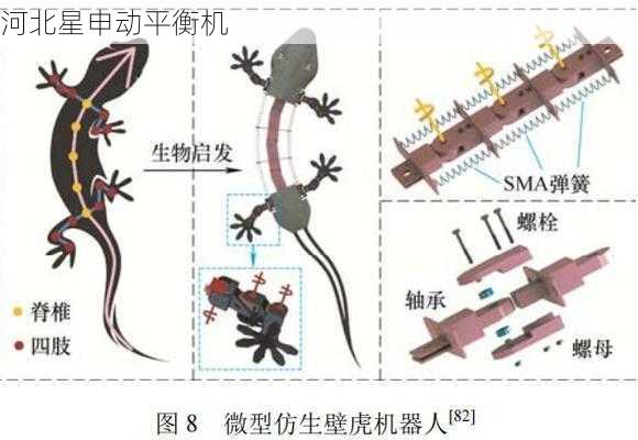 从生物力学到工程实践：仿生机器人关节平衡技术研究