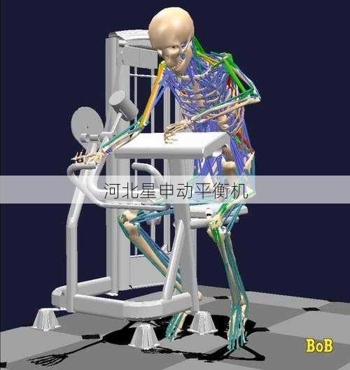 从生物力学到工程实践：仿生机器人关节平衡技术研究