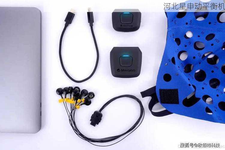 平衡机元宇宙应用