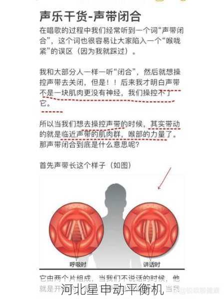 从振动分析到声学定位的完整闭环